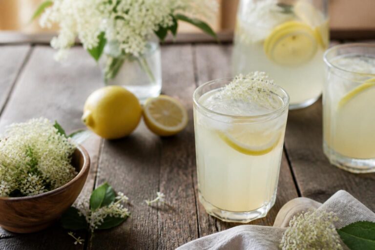 Selbst gemachte Holunder-Limonade in einem Glas mit Eiswürfeln, Zitronenscheiben und frischen Holunderblütendolden auf einem Holztisch